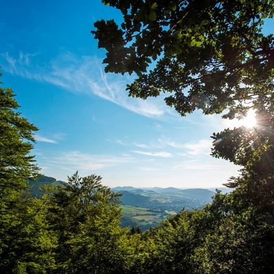 
                                Blick in die waldreiche Landschaft rund um Brilon.
                            